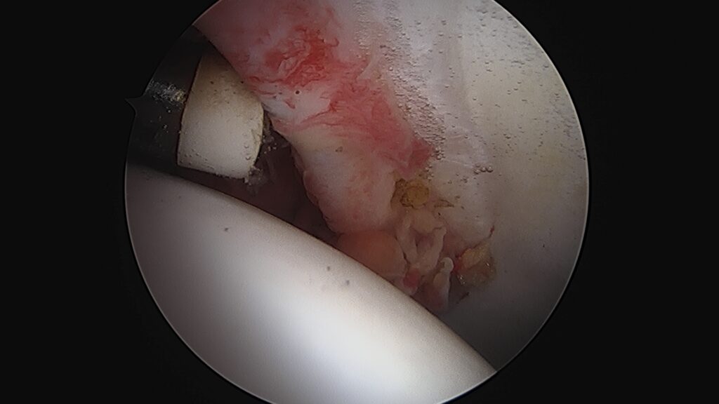 ch1 image 012 2 ch1 image 012 2